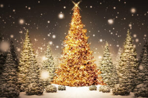 decoration-noel